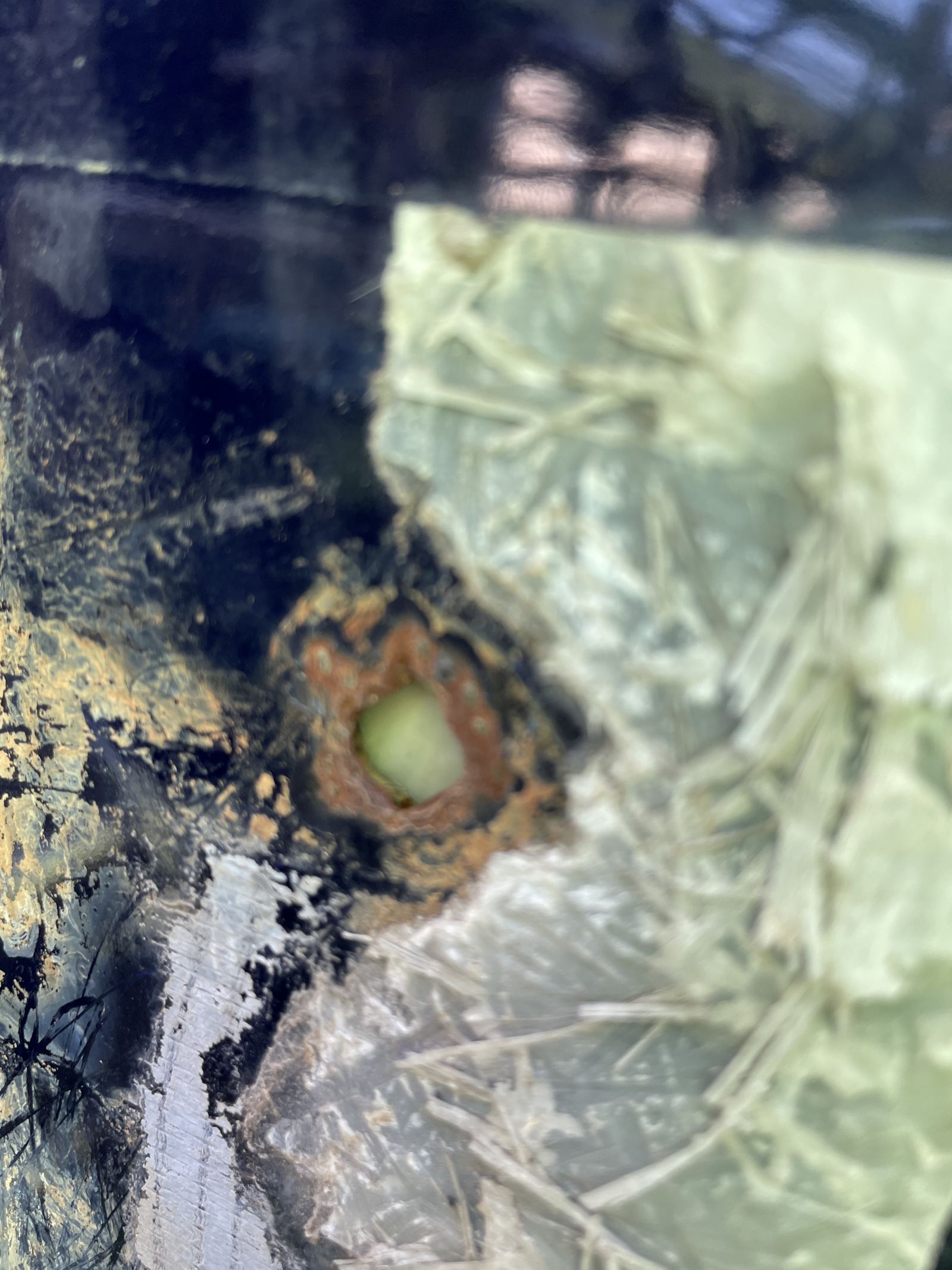 Repaired corrosion patch around a tank penetration after forensic assessment