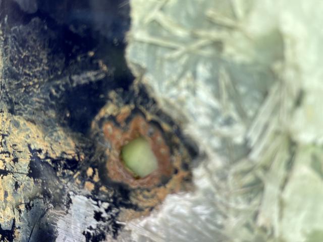 Corroded pipe penetration covered with an old fiberglass patch