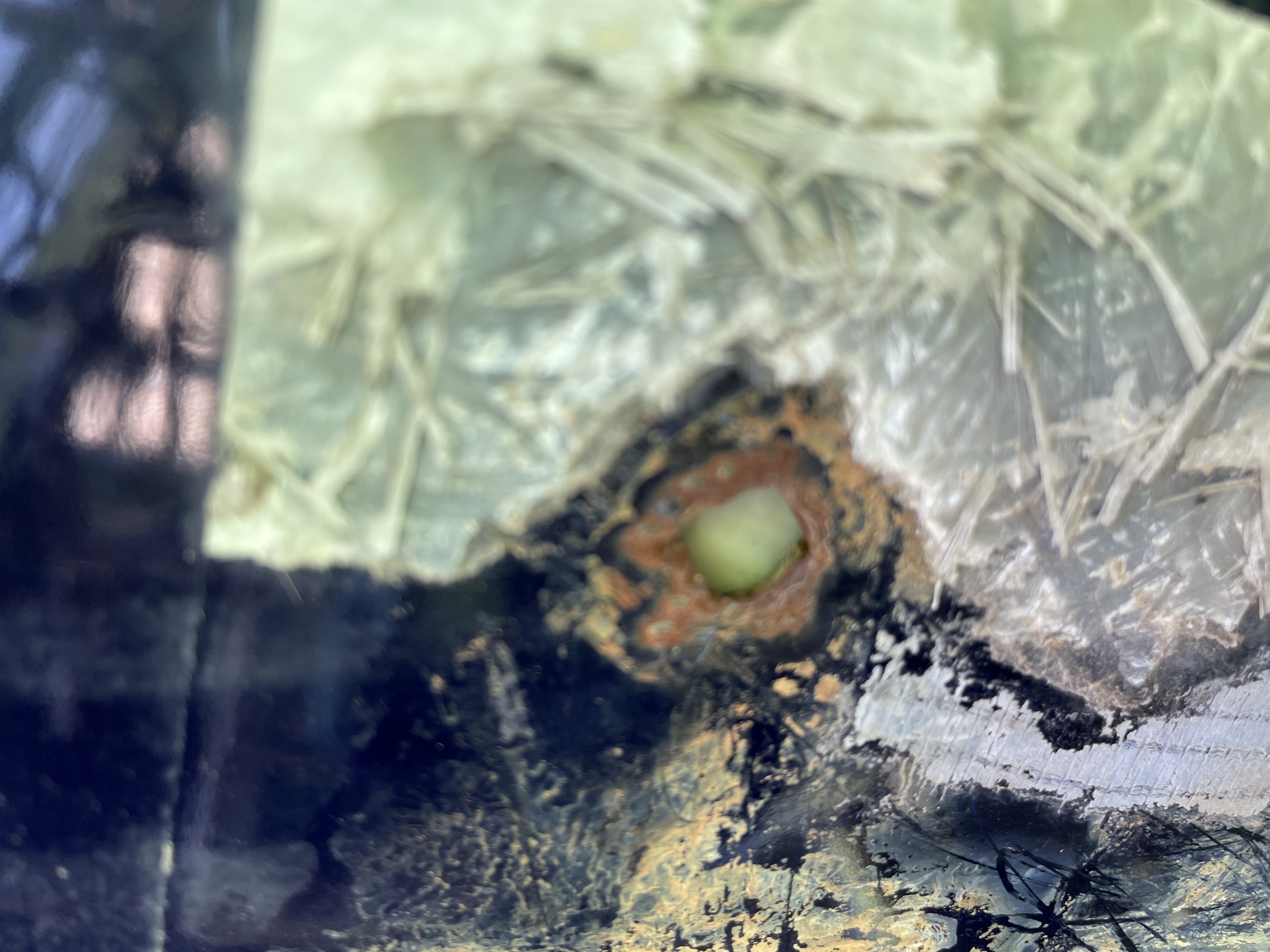 Repaired corrosion patch around a tank penetration after forensic assessment
